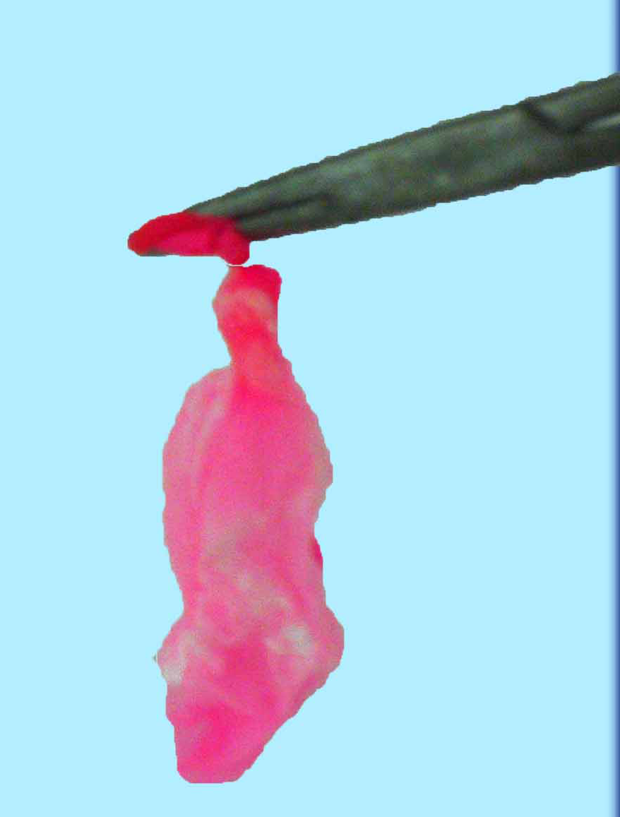 Its Not Liquid Nitrogen