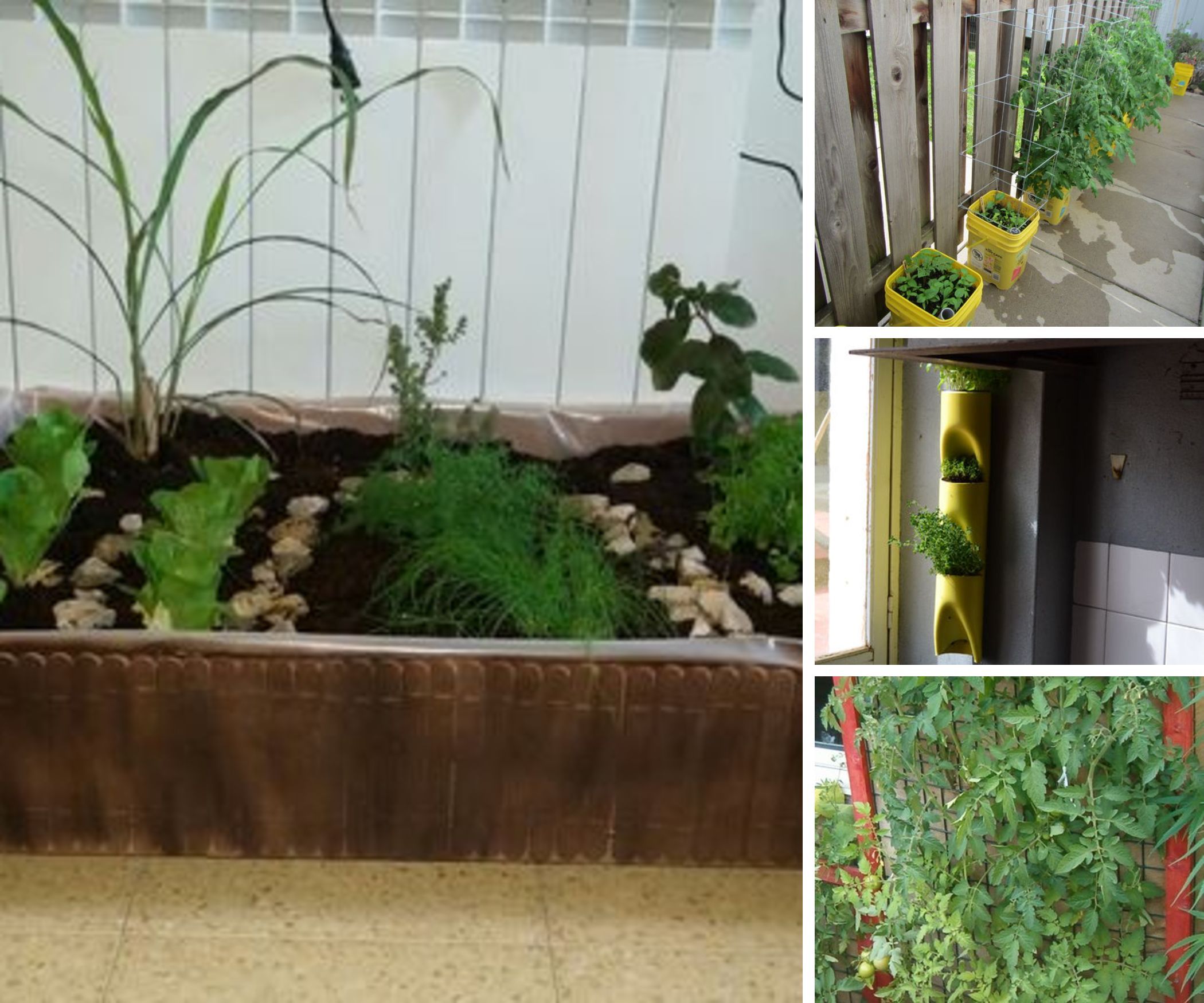 Gardening Ideas