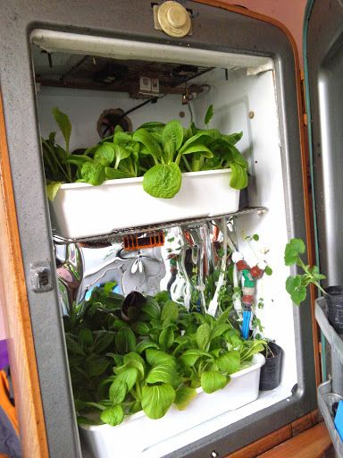 Automated Hydroponic Led Indoor