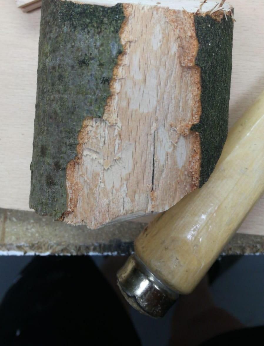 Natural Cat Tree (Cat Not Included)