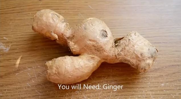 How to Make Basic Ginger Tea - Video