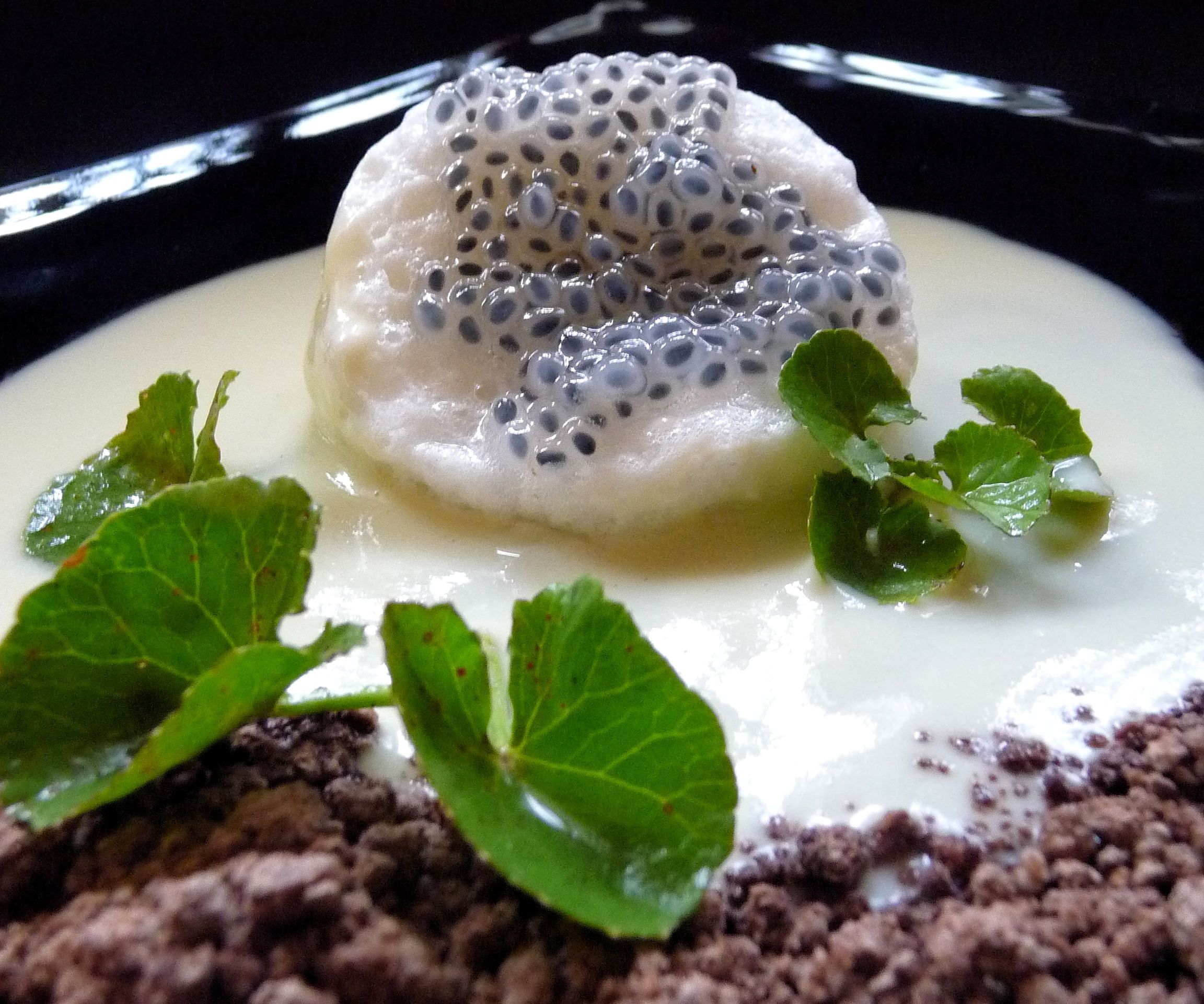 Frog Eggs and Foam 