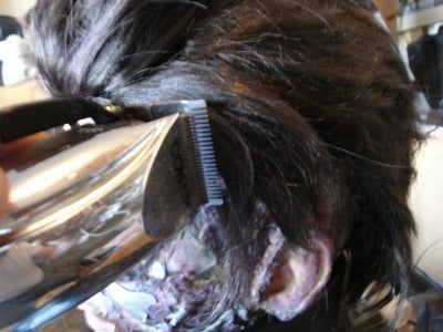 Cutting and Buring the Hair