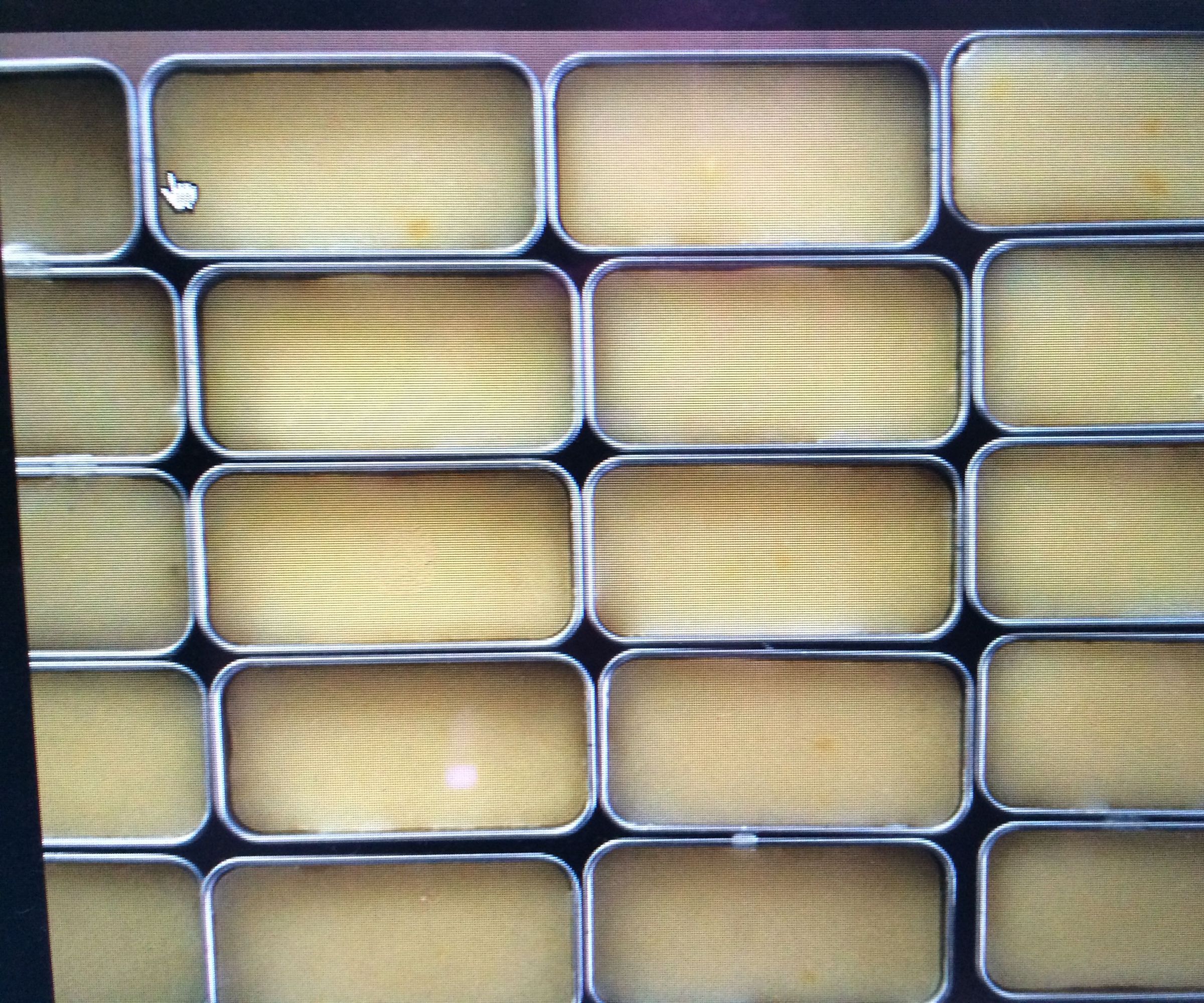 Natural Lip Balm