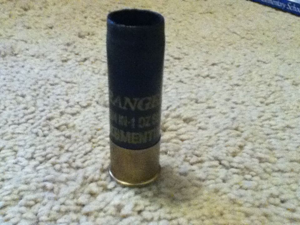 How to Care for Your Pet Slug