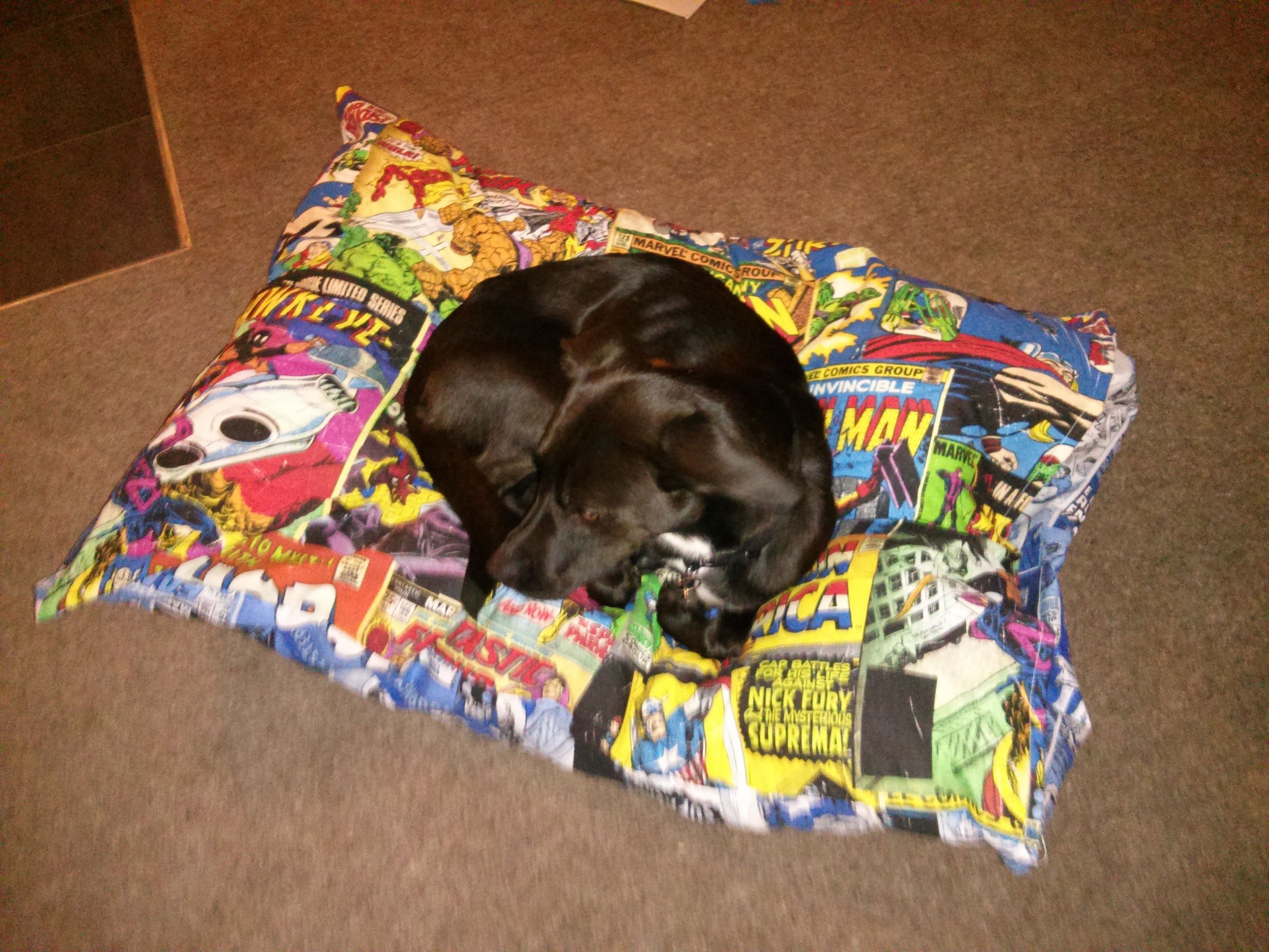 Cushion Dog Bed