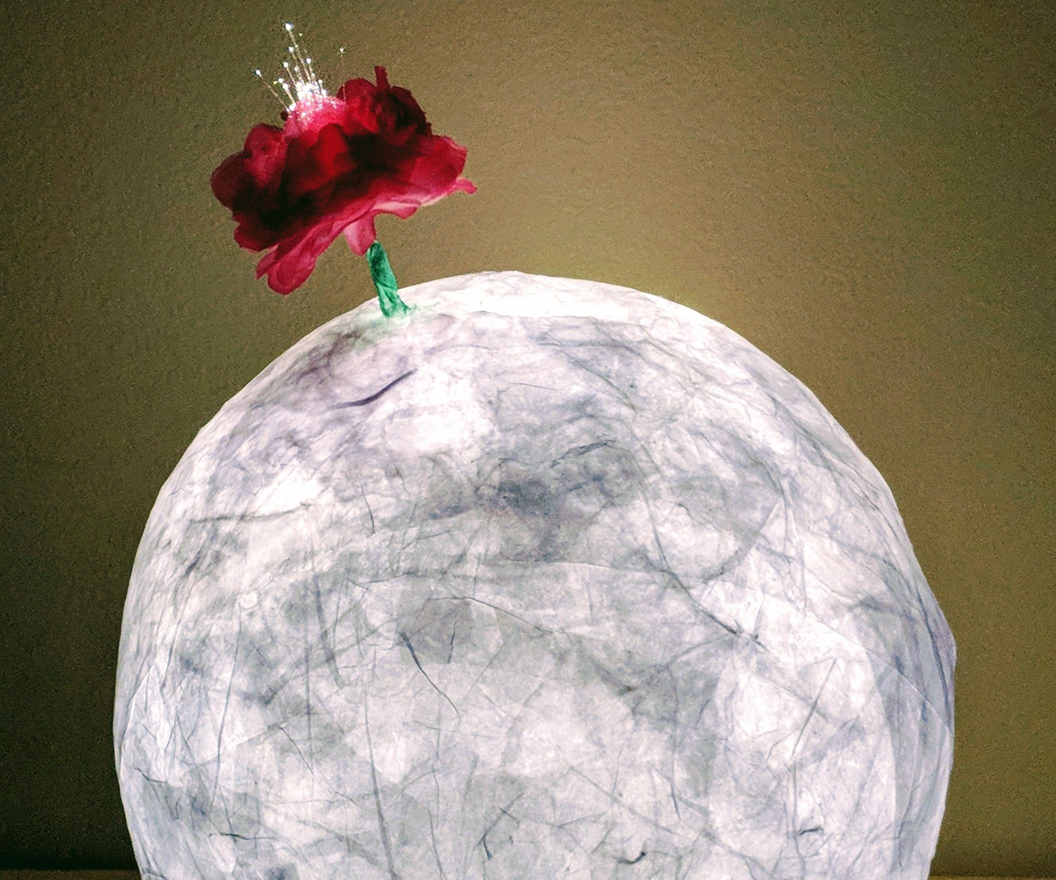 Le Petit Prince Rose Lamp