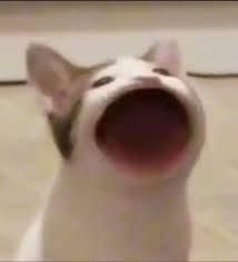 sunsimei