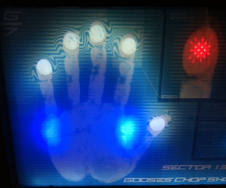 FAKE ACCESS PANEL