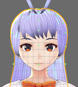 Create the Face of Your Model