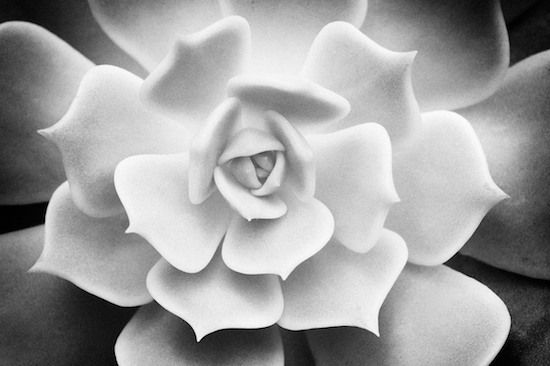 Tips and Tricks for Taking Awesome Pictures With Camera