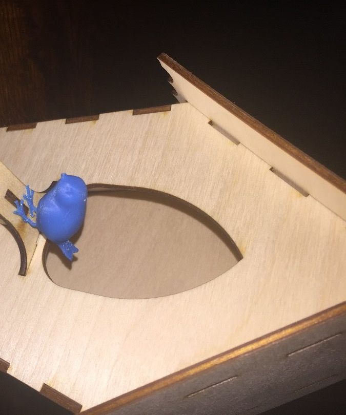 Birdhouse With Lights Inside.