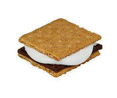 How to Make a S'mores 如何做一个s'mores