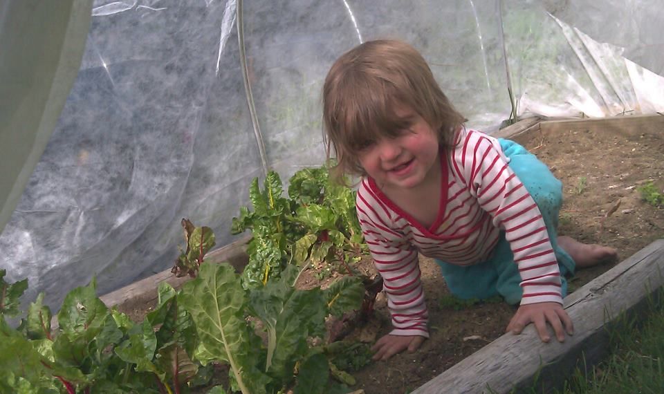 Hoop Houses- Gardening All Year Long in New England.