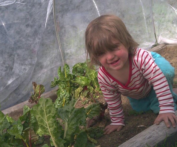 Hoop Houses- Gardening All Year Long in New England.