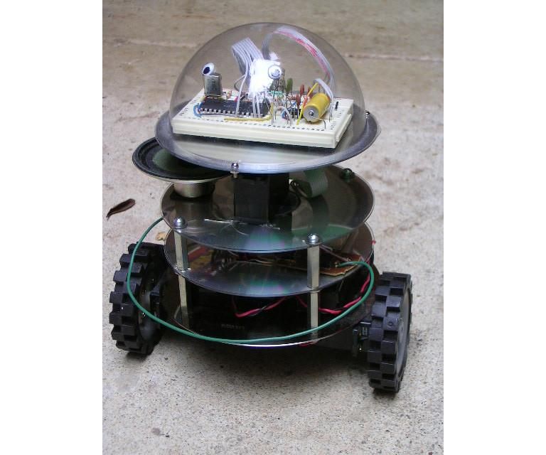 Rodo, a 2nd-Grade Science Fair Robot