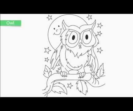 Top 20 Free Printable Bird Coloring Pages 
