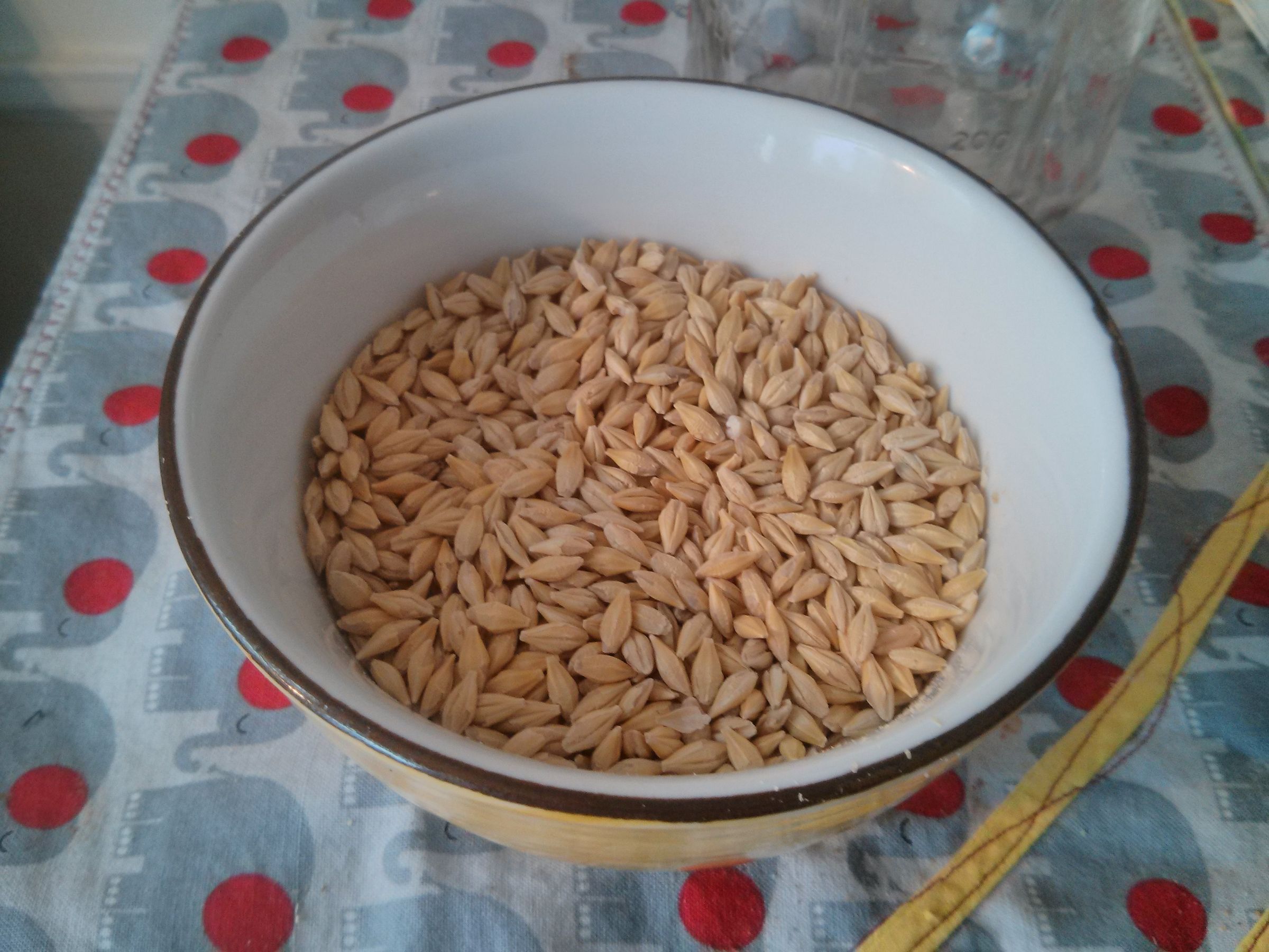 Make Rustic Sprouted Whole-grain Pizza Dough at Home!