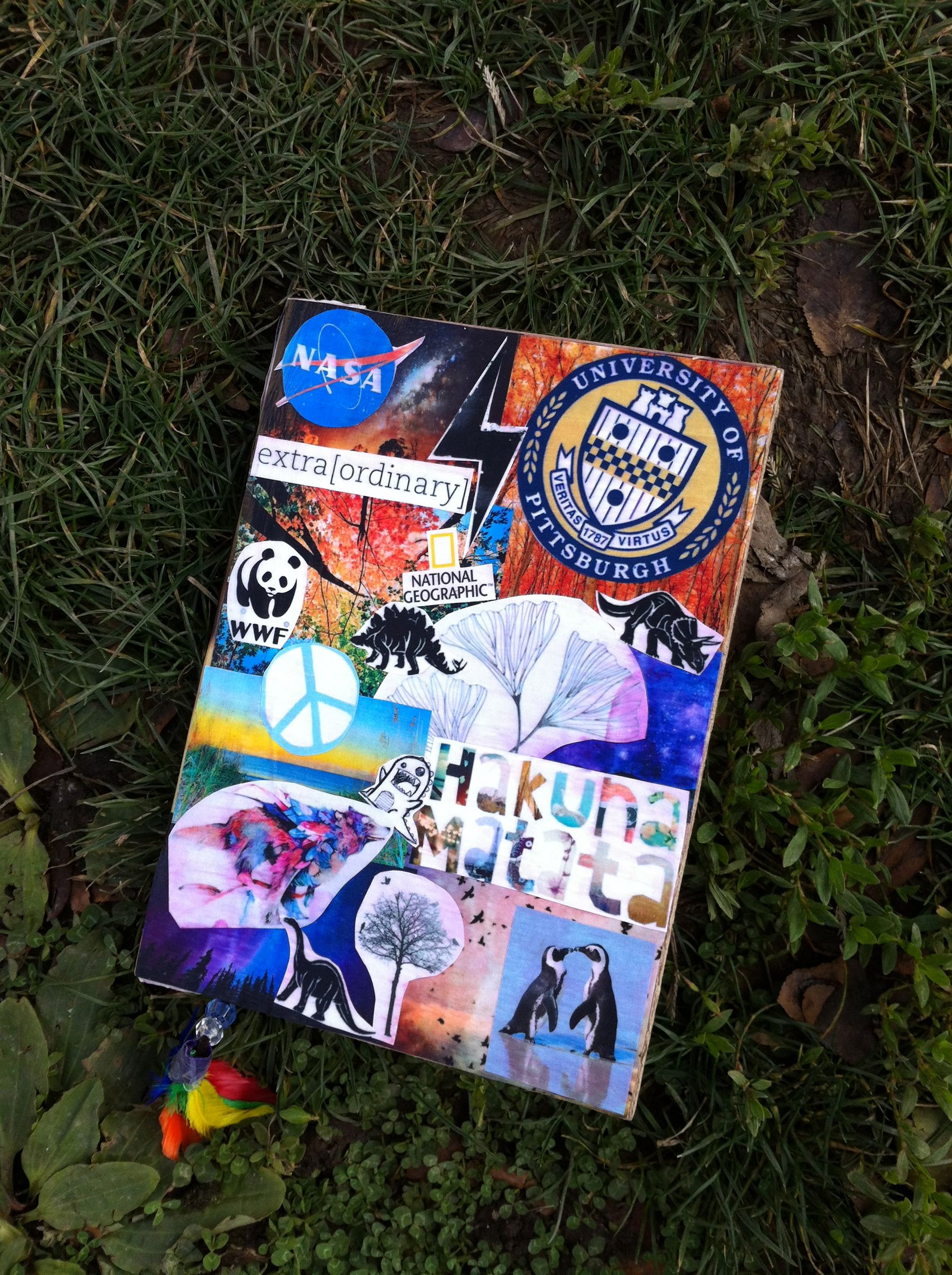 Make a Customizable Eco-Friendly Field Journal!