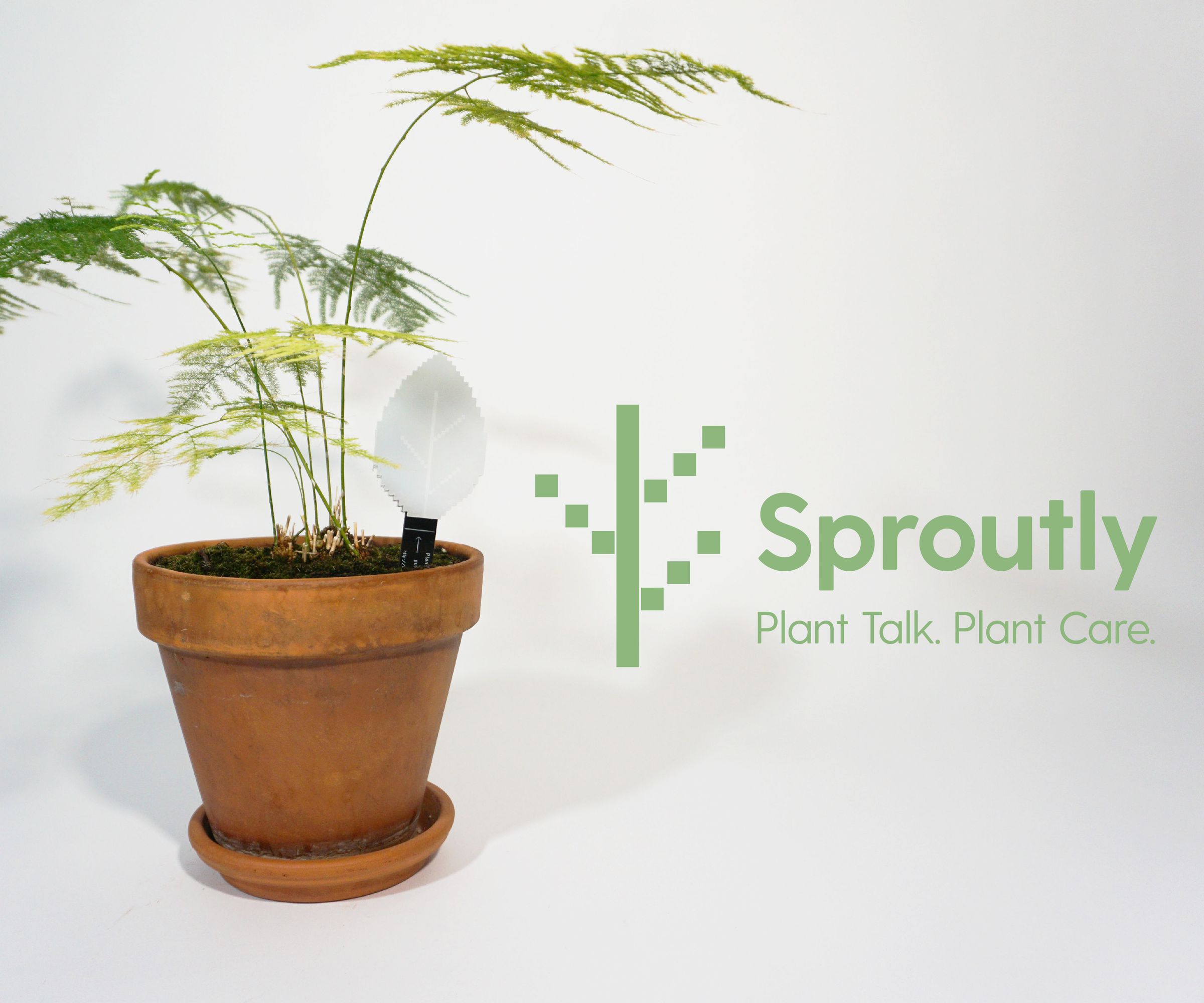 Sproutly