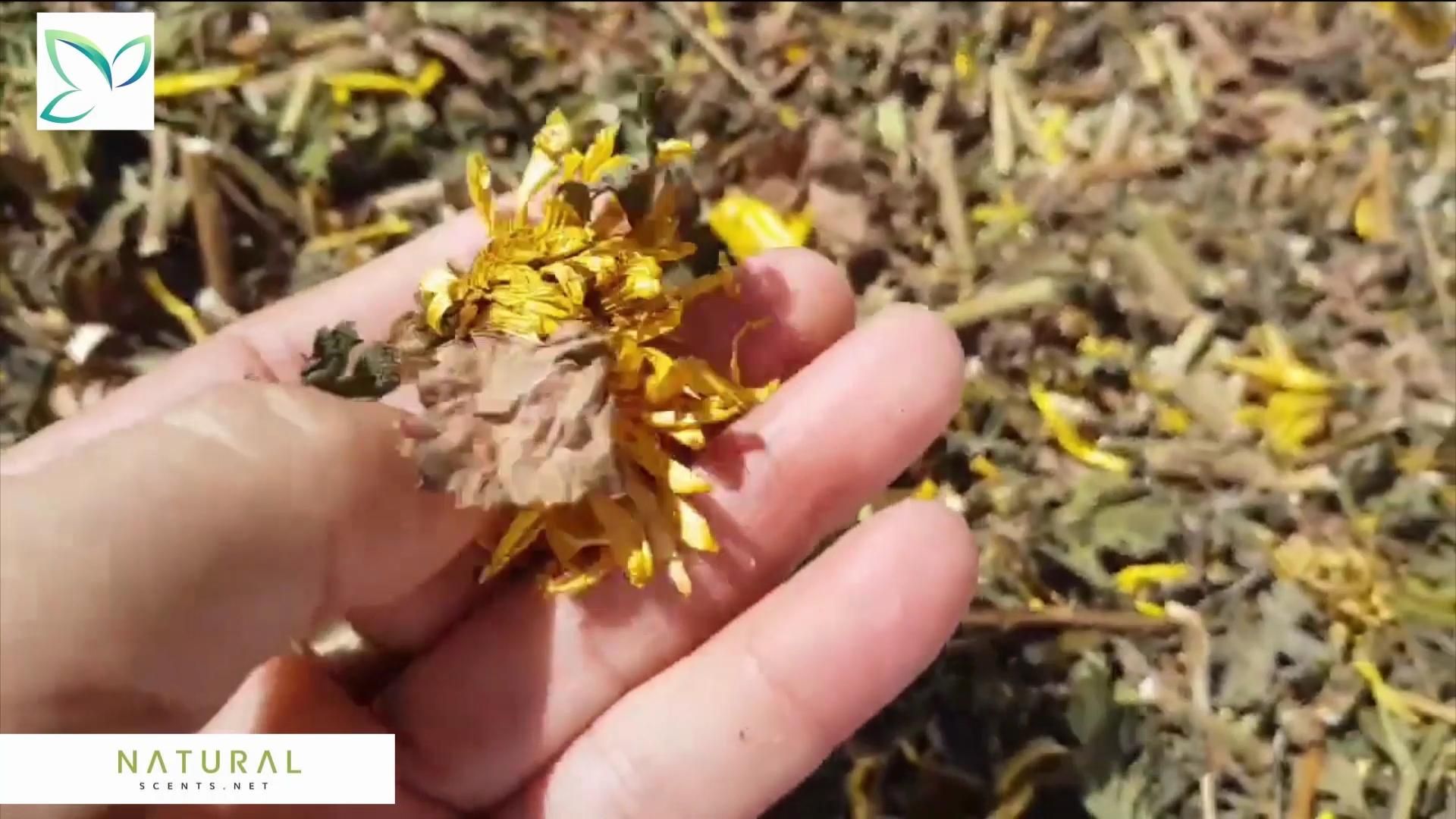 How to Make Incense Cones at Home 6 Steps Instructables