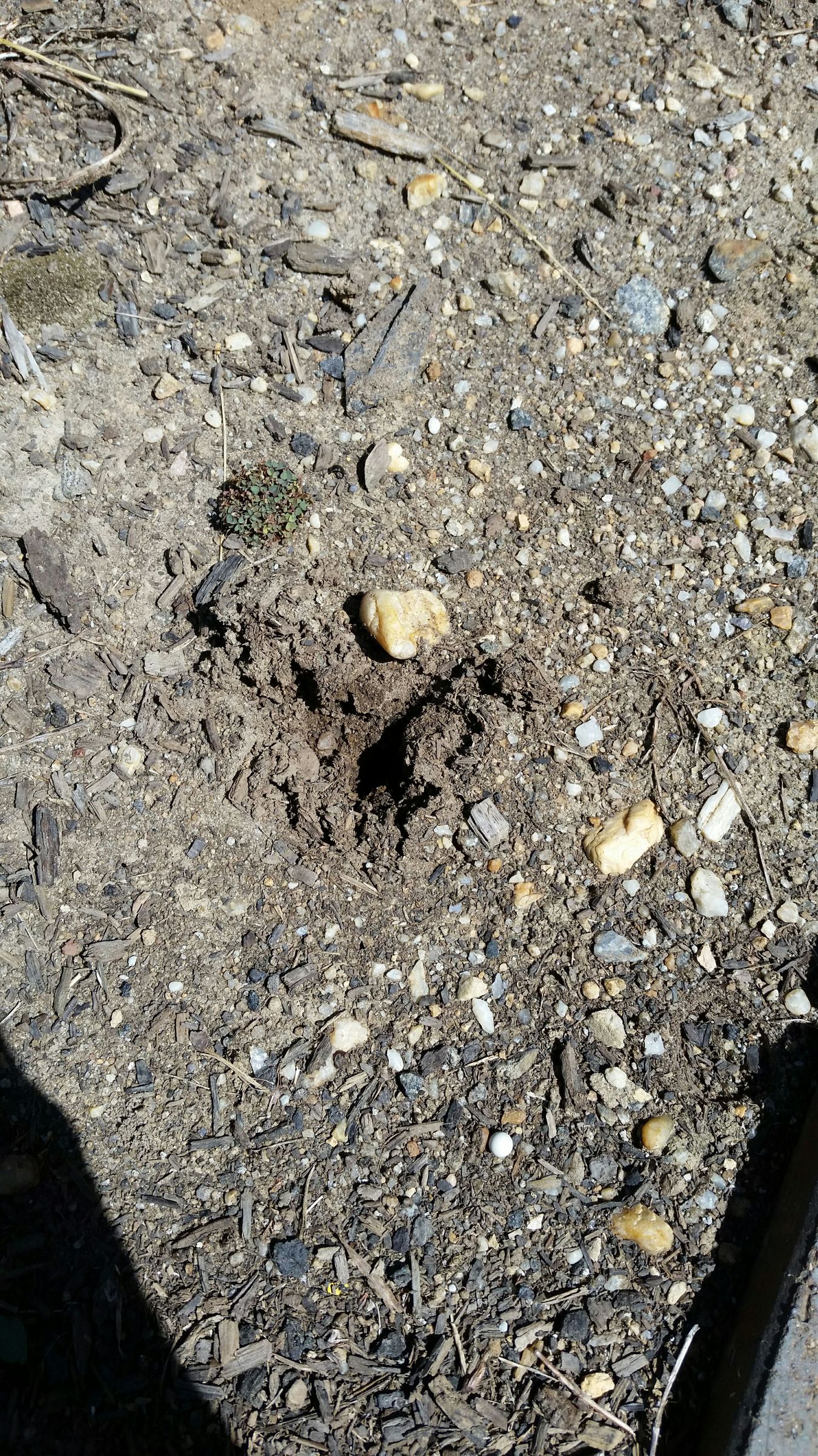 How to Fix a Yard Light 5 Steps (with Pictures) Instructables