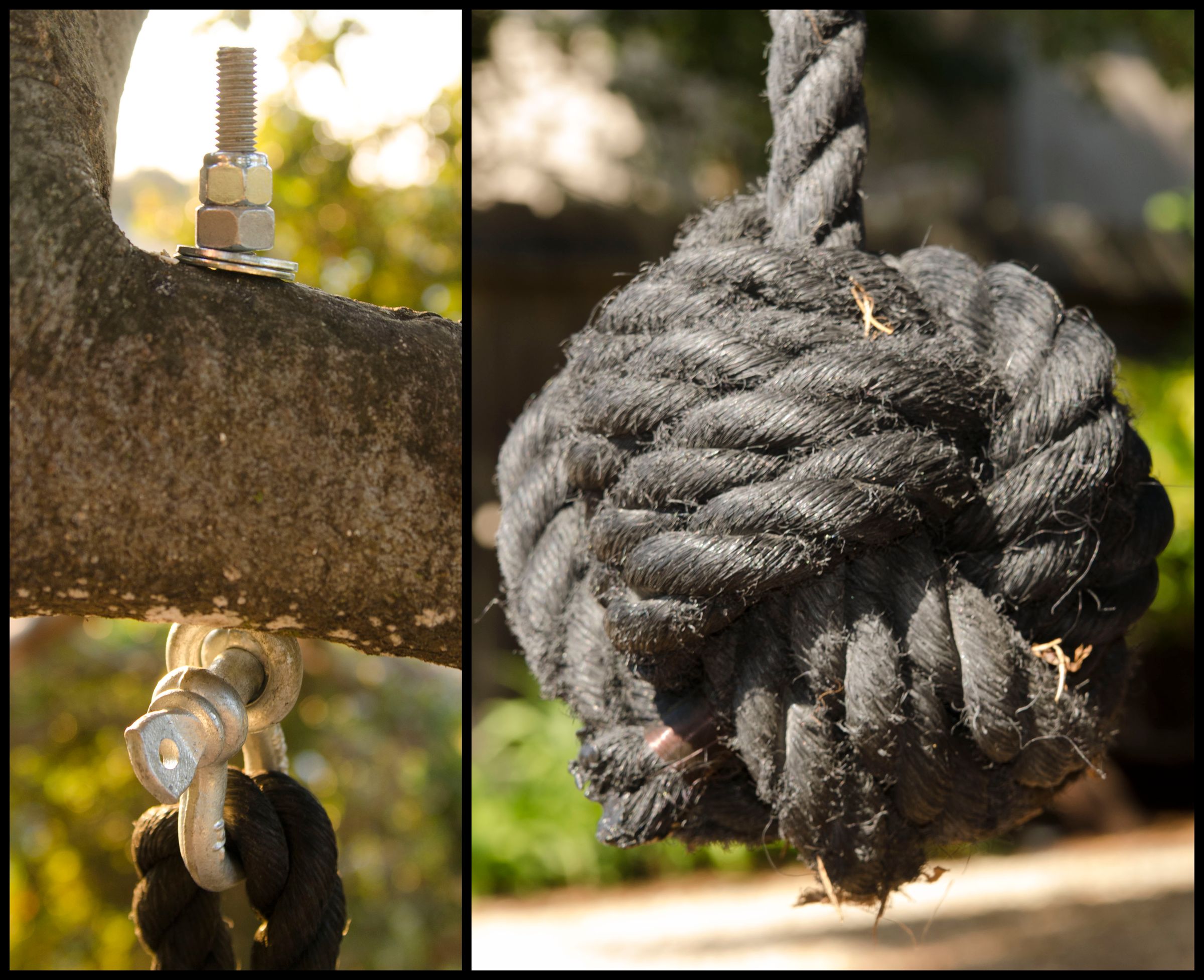 Rope Swing With Monkey's Fist