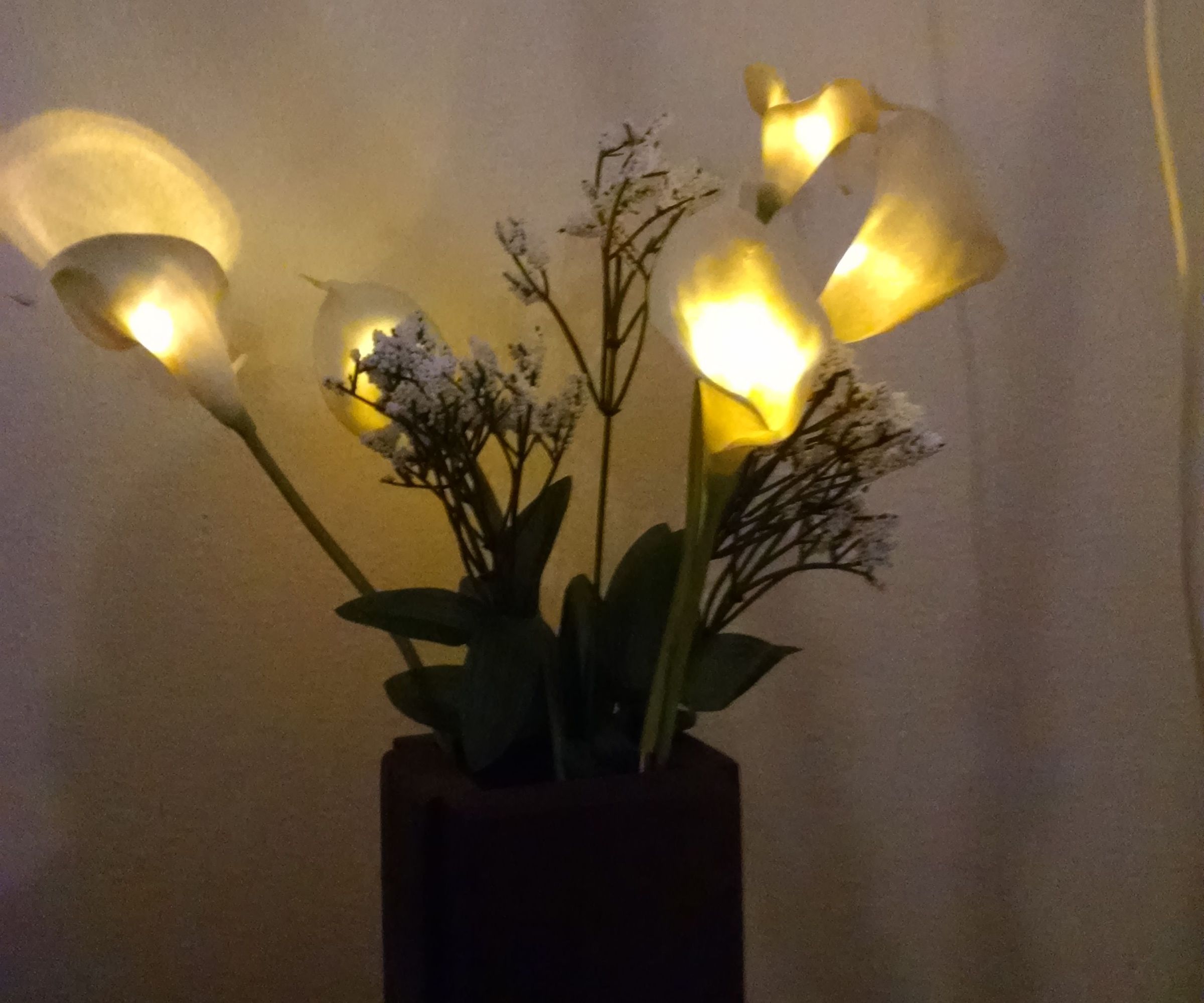 Solar Rechargeable Decor