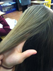 Step 2: Beginning Your Braid