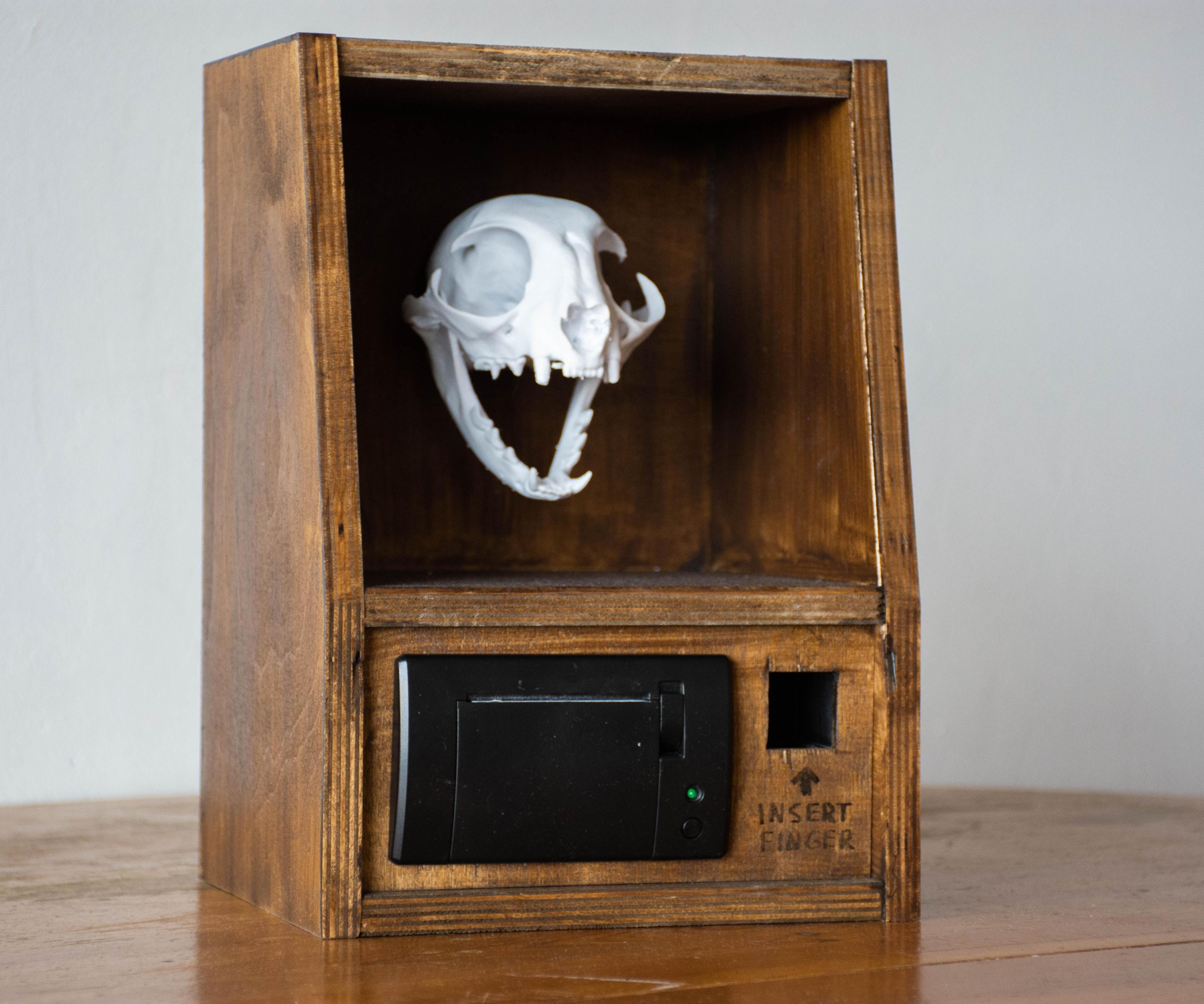 Quantum Death Machine 💀