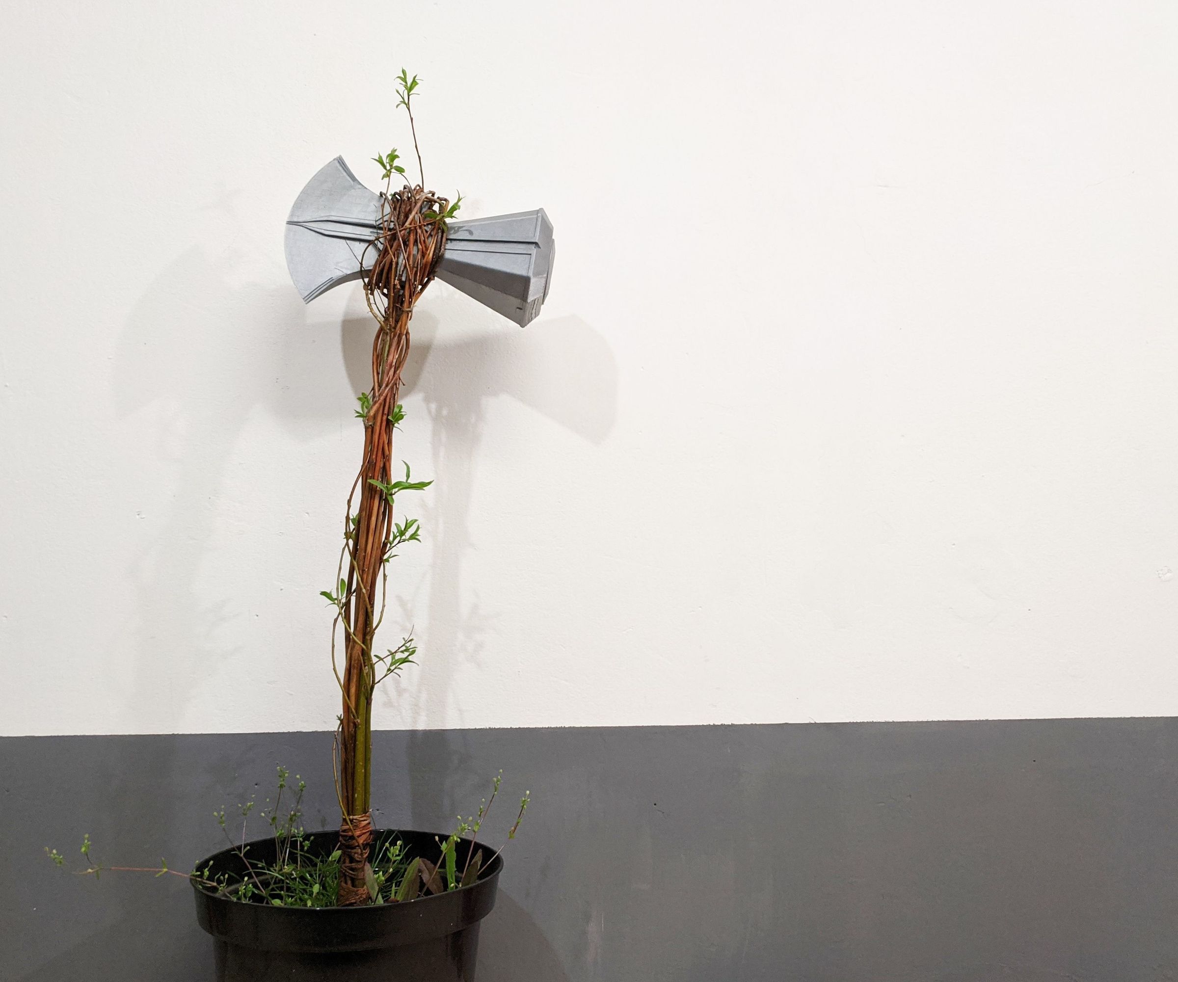 Woven Stormbreaker - Real Groot Plant