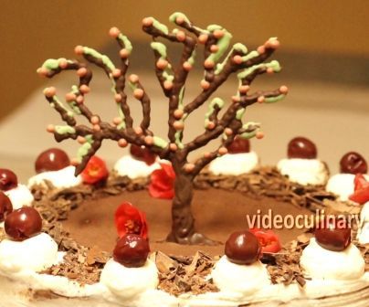 Black Forest Cake
