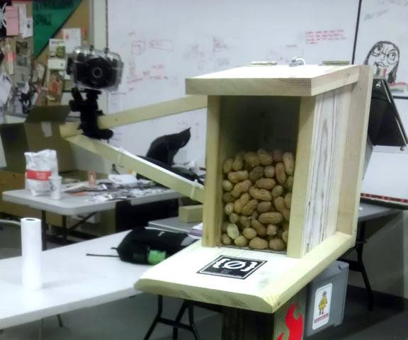 Bird Proof Squirrel Feeder & Solar Powered Camera