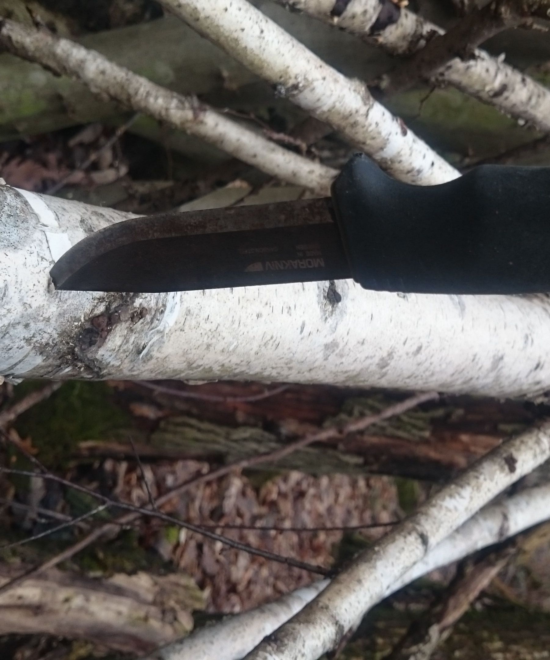 Survival Tip: Great Tinder Fire Starter in Any Weather