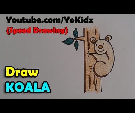 How to Draw Koala