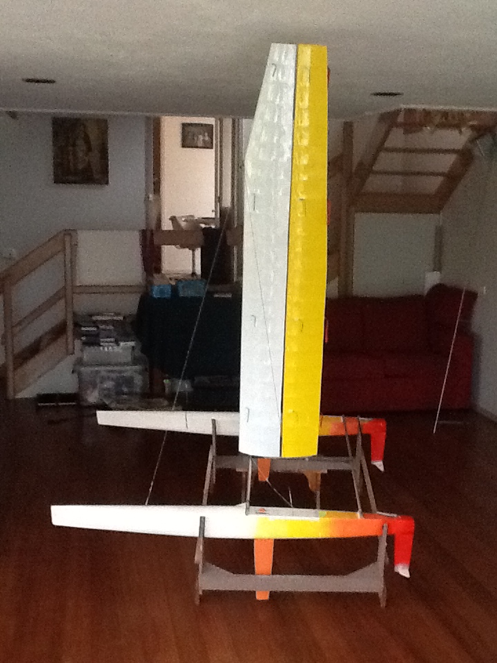 Rc Model Wing Catamaran