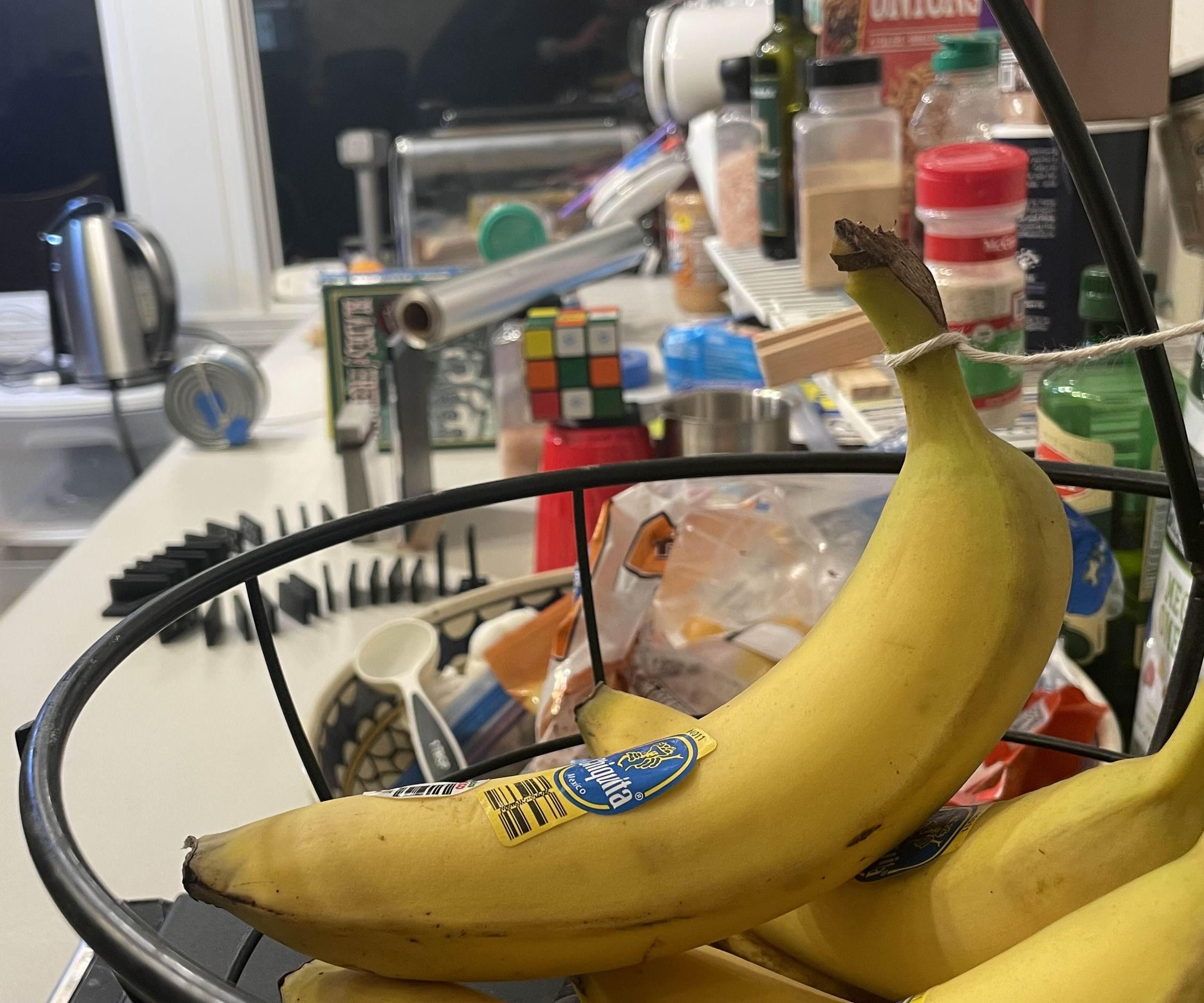 Making Toast, Rube Goldberg Style!