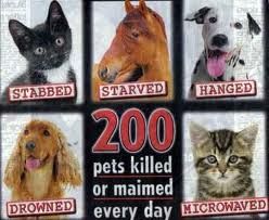The Biggest Animal Abuses People Contribute to Everyday