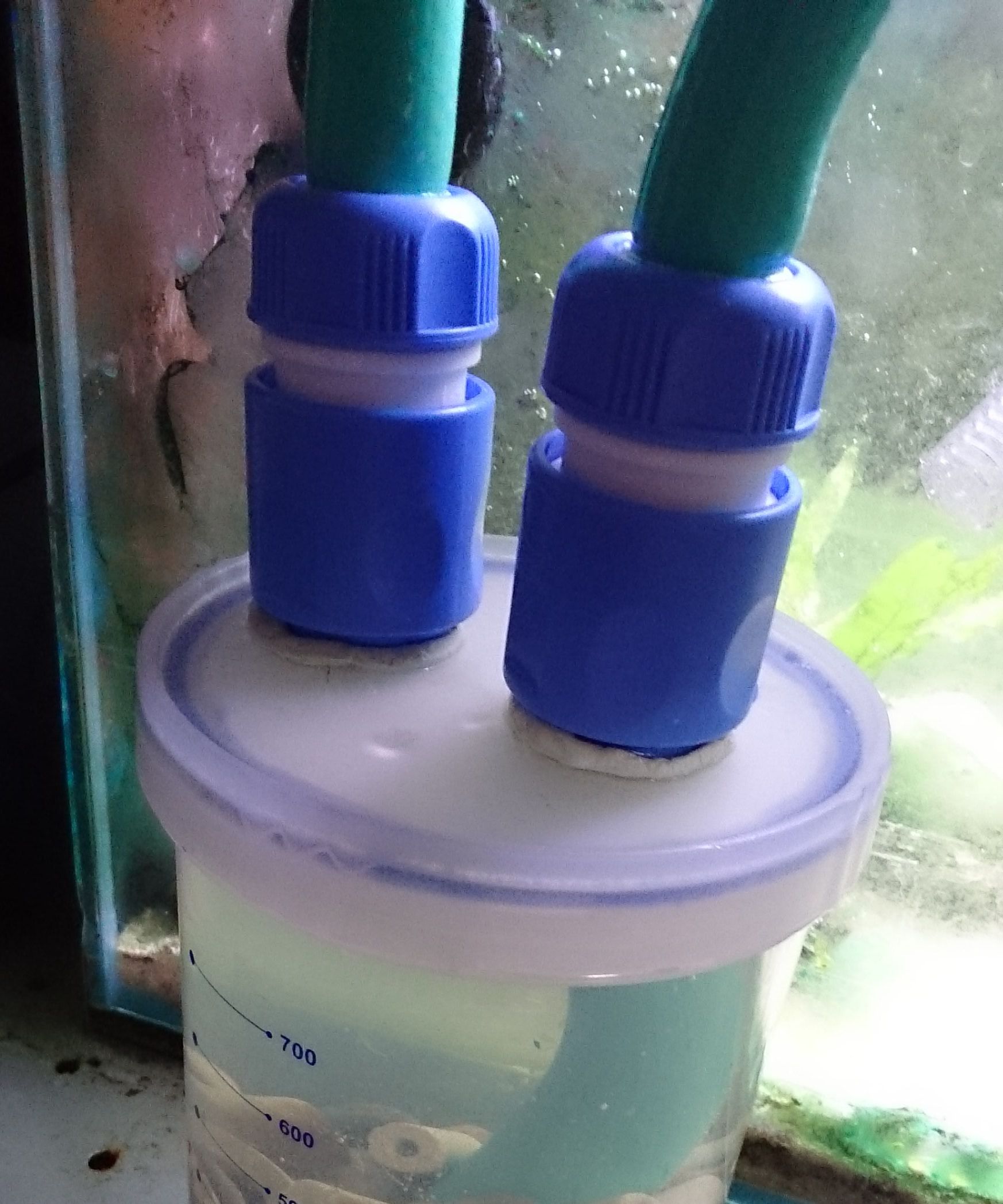 DIY Canister Aquarium Filter Conversion
