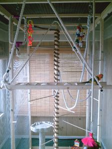 Walk-in Bird Aviary : 9 Steps (with Pictures) - Instructables