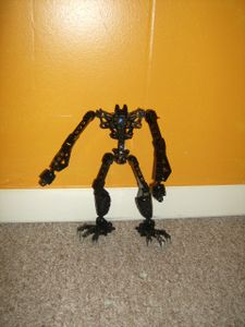 The Body