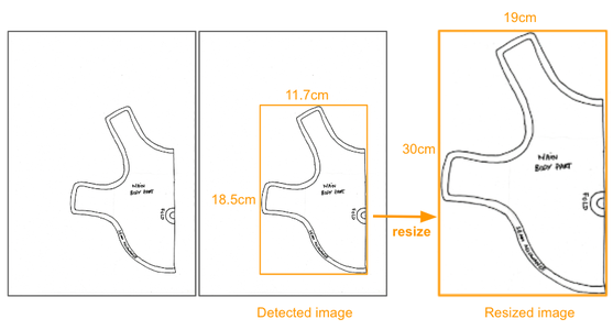 Calculate Your Desired Height or Scale Factor