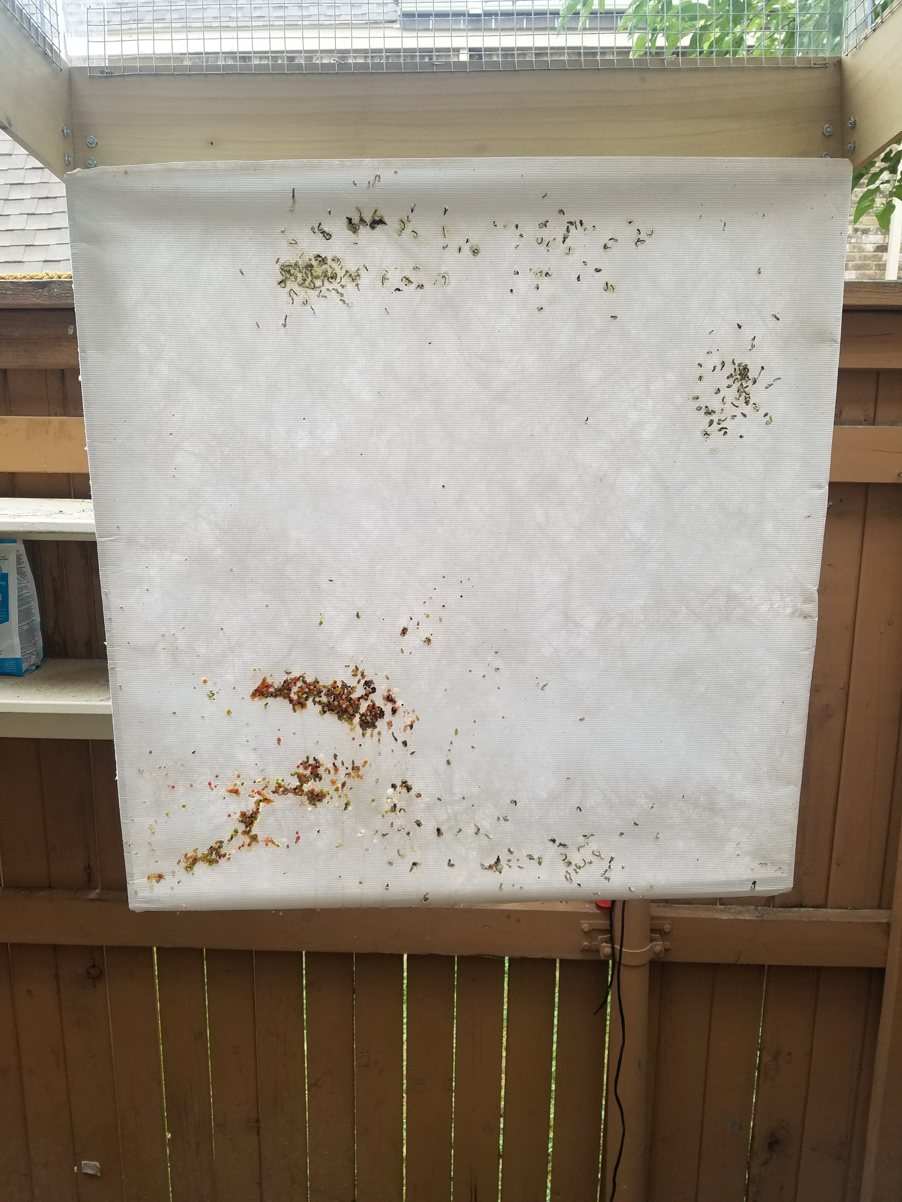 Plexiglass Bird Cage Instructables