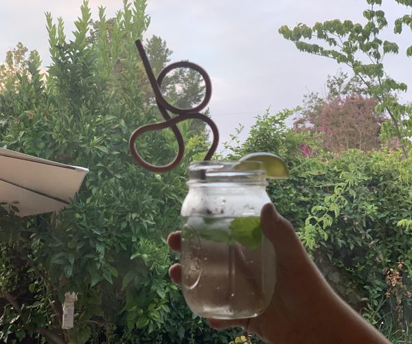 Metal Curly Straws