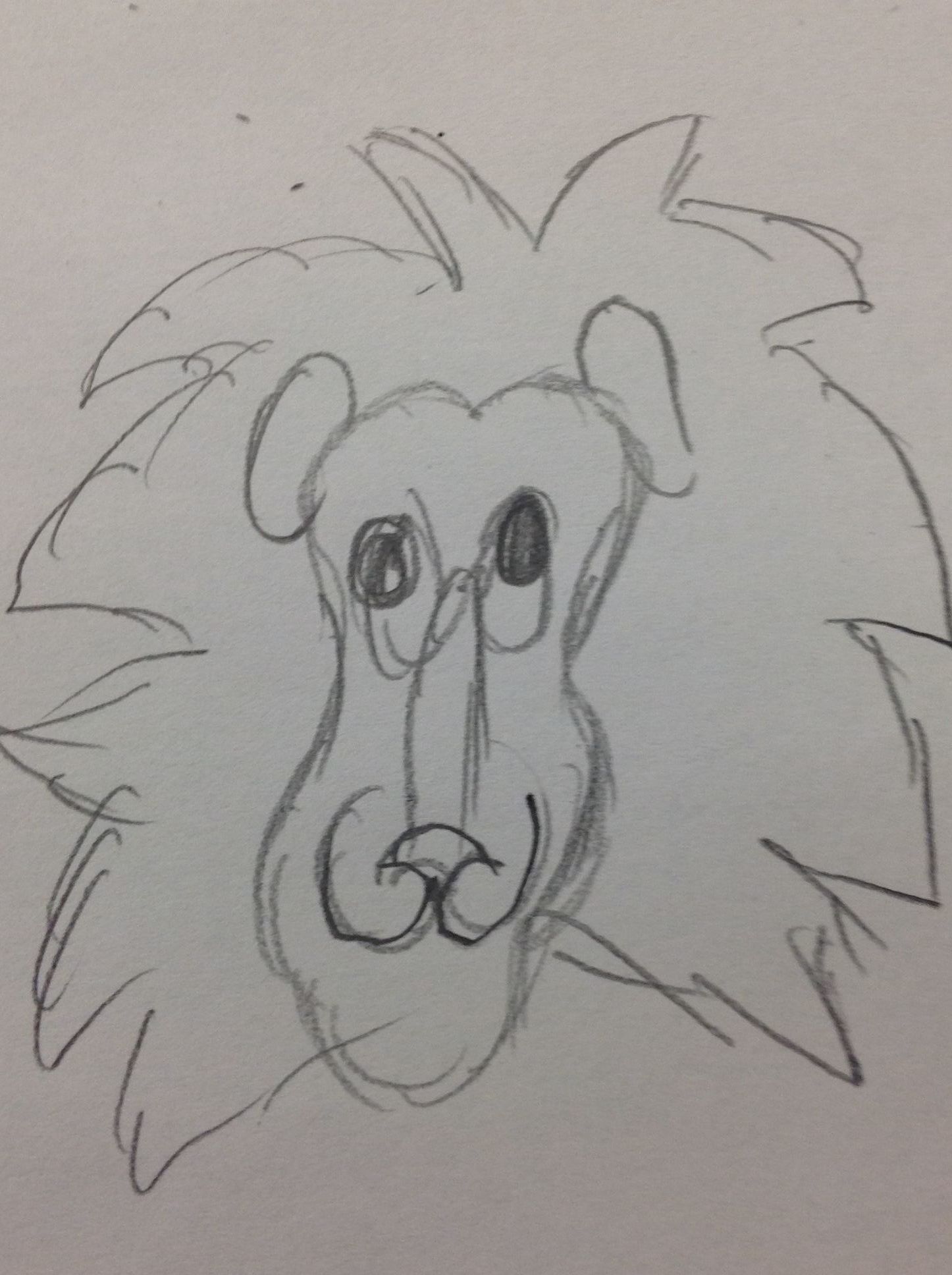 How to Draw a Lion!