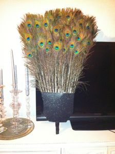 How to Make a Peacock Costume