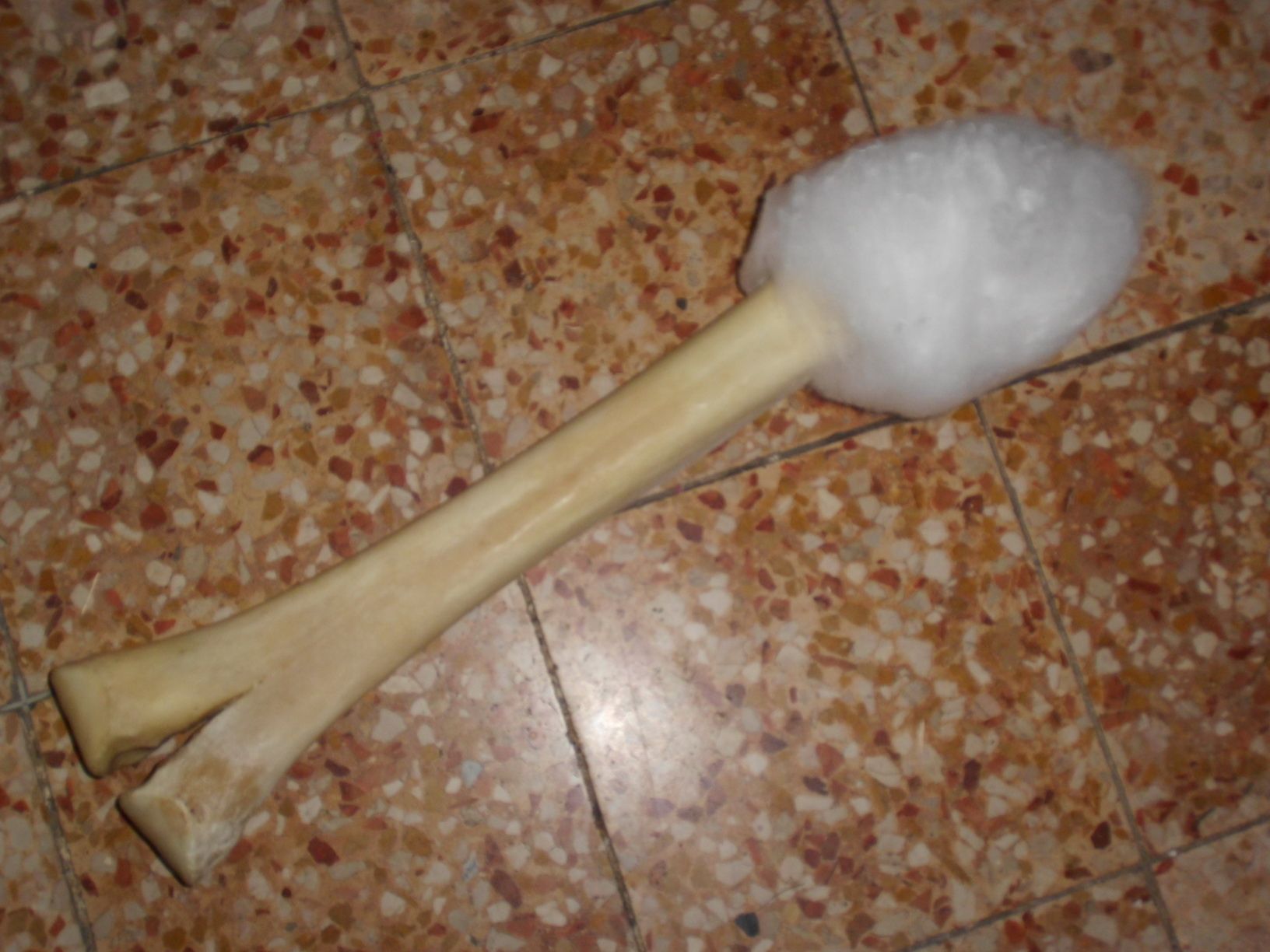 The Spiderweb-Bone