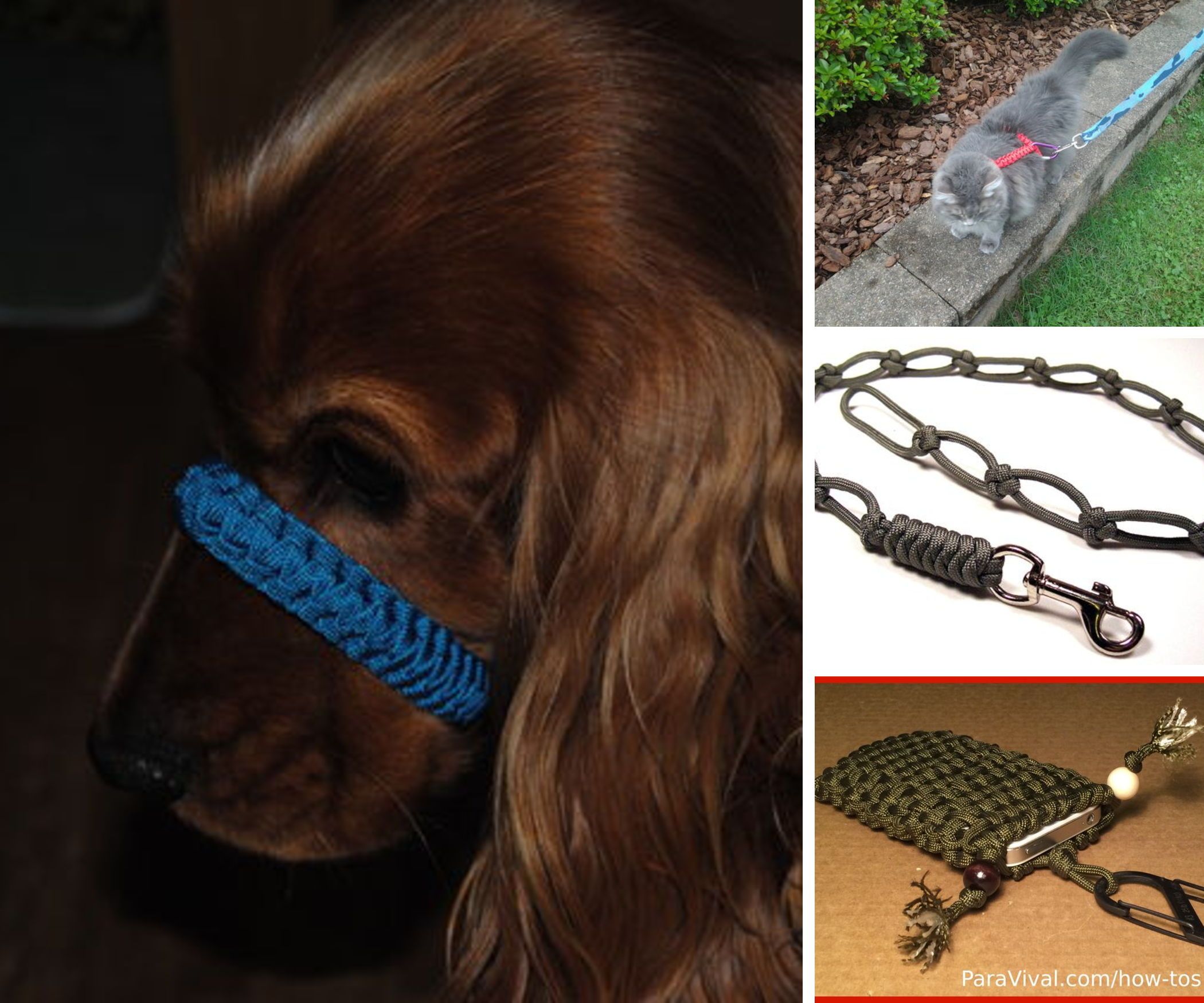 Paracord Plans 4 Me
