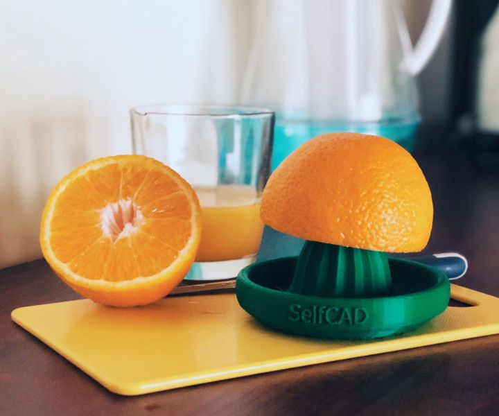 DIY 3D Printed Citrus Juicer