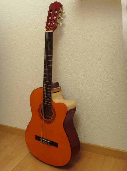 Homemade Cutaway Guitar - of an Existing One!